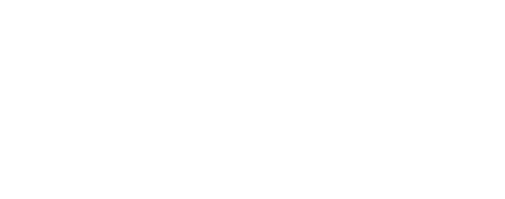 Bright Star Dental Logo - White