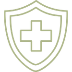 icon health