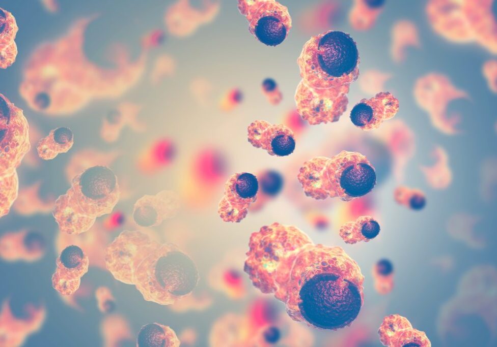 oral-patholage-exam-1024x683