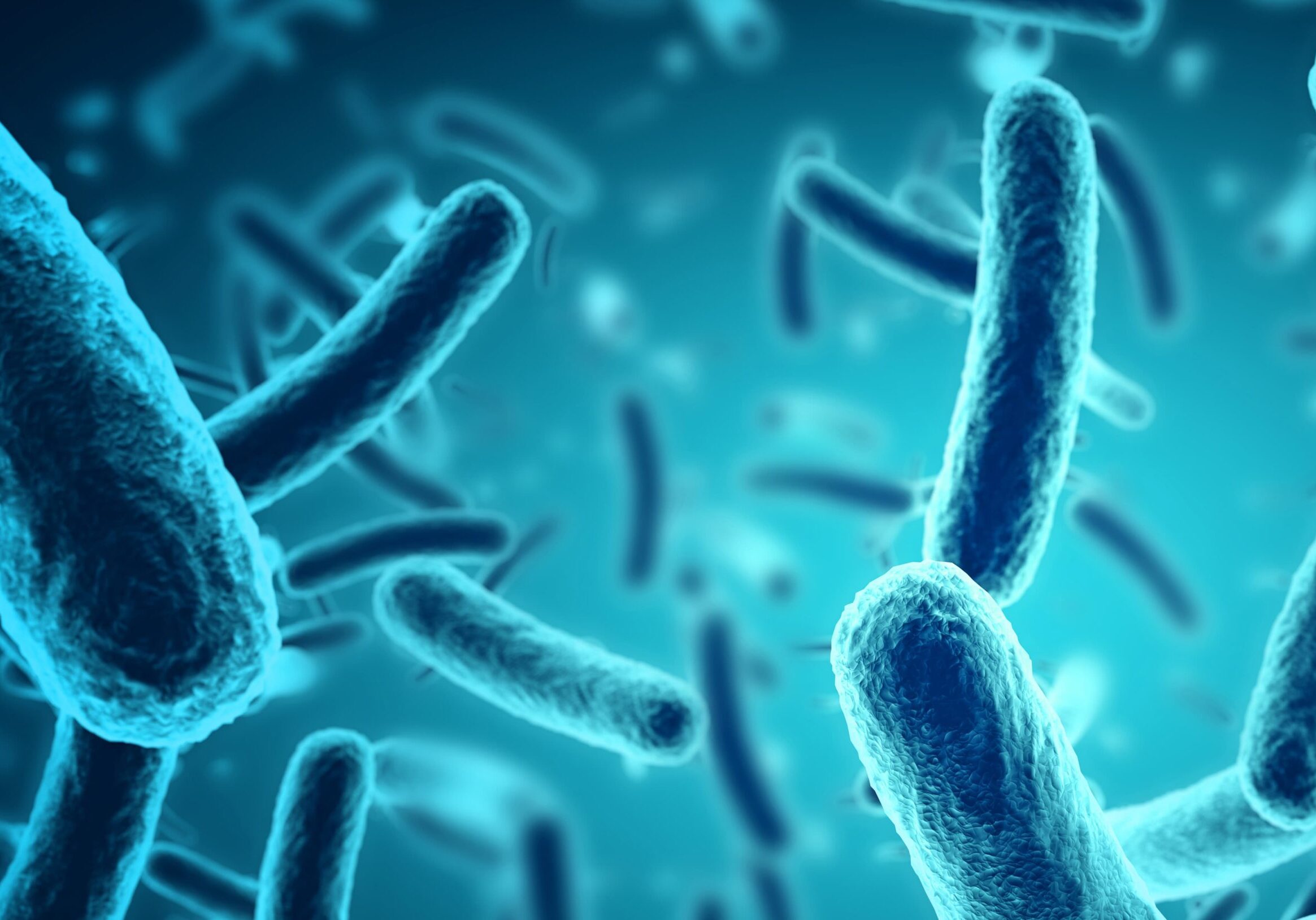 shutterstock_164323379-2